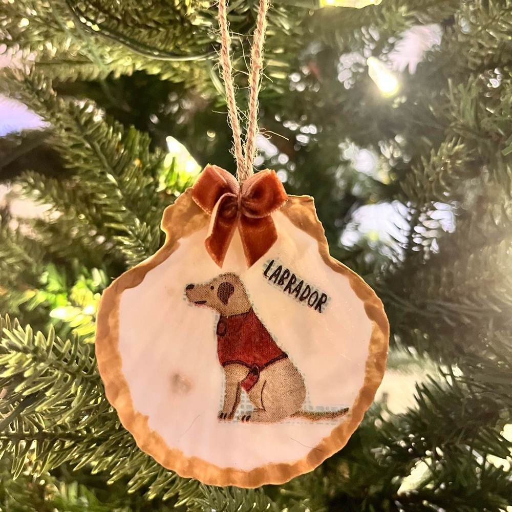 Handmade Labrador Dog Scallop Shell Ornament with Brown Bow